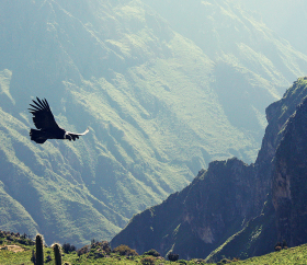 Valle del Colca