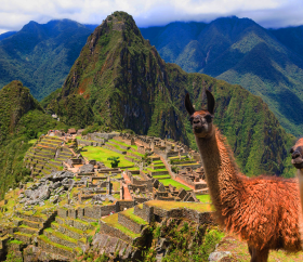Machupicchu, Cusco