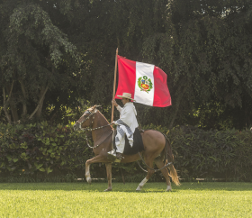 Caballo de paso, Lima