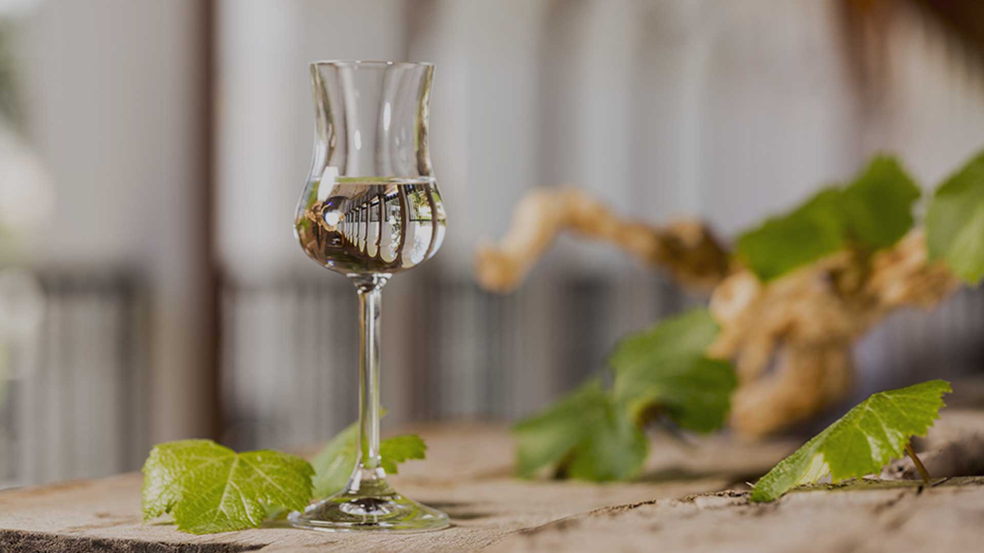 Pisco gana 33 medallas en prestigioso concurso Virtus International Awards 2022