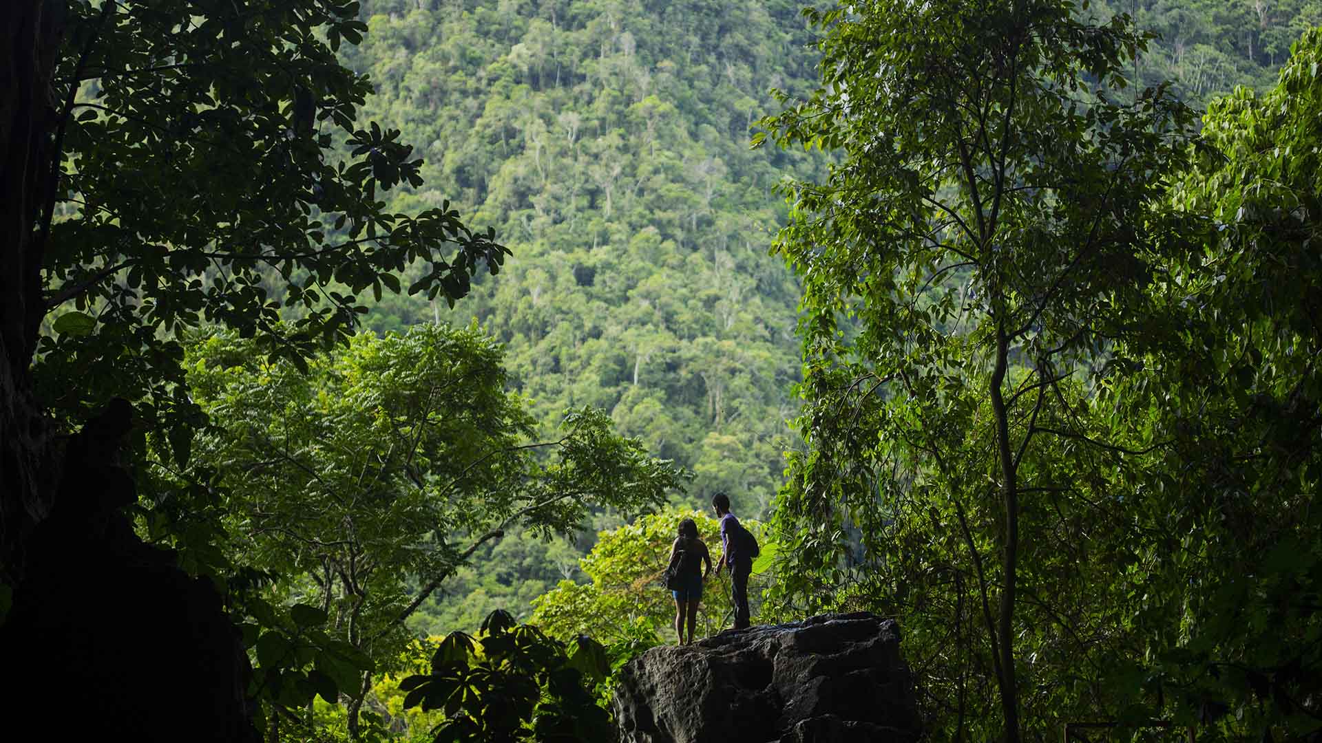 Parque Nacional Tingo María, galardonado en los Green Destinations Story Awards