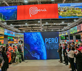 Fitur