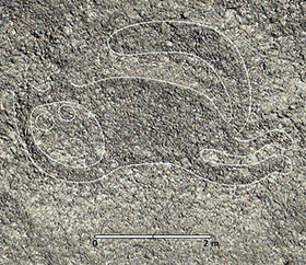 Líneas y Geoglifos de Nasca: más de 300 figuras son descubiertas en la región peruana de Ica