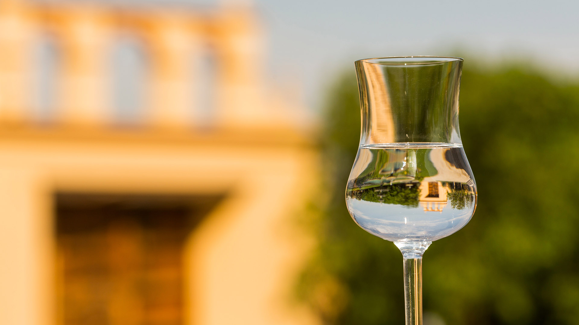 Certificación internacional, pisco peruano, iTQi 2015