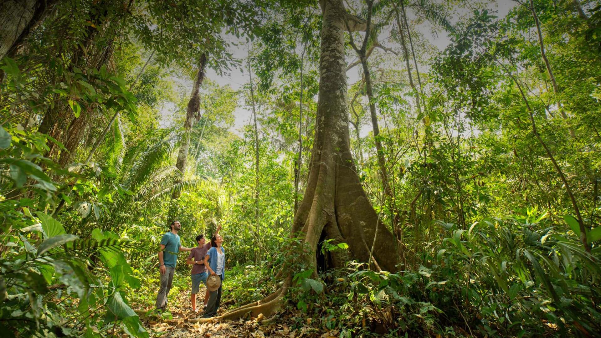 Turista na Reserva Nacional Tambopata