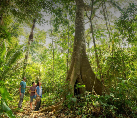 Turista na Reserva Nacional Tambopata