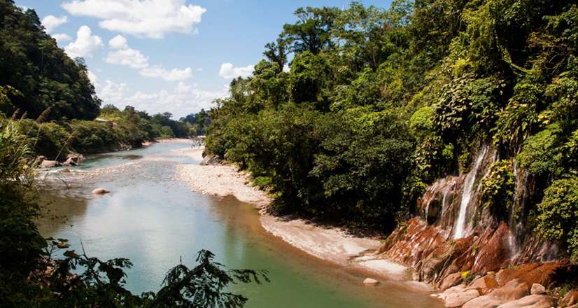 Cordillera Azul The Largest Virgin Forest In Peru