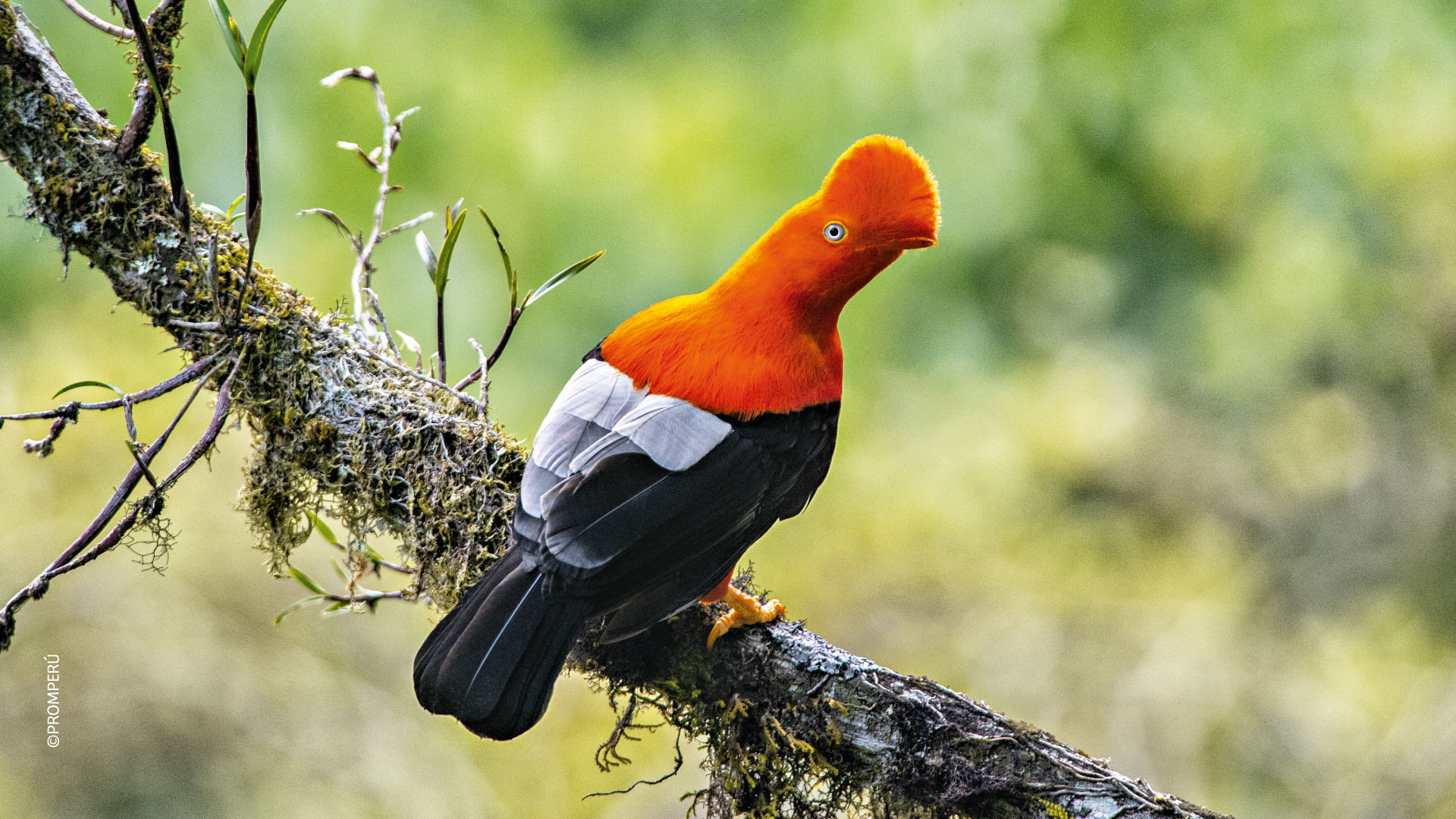 Birdwatching at the wildlife refuge