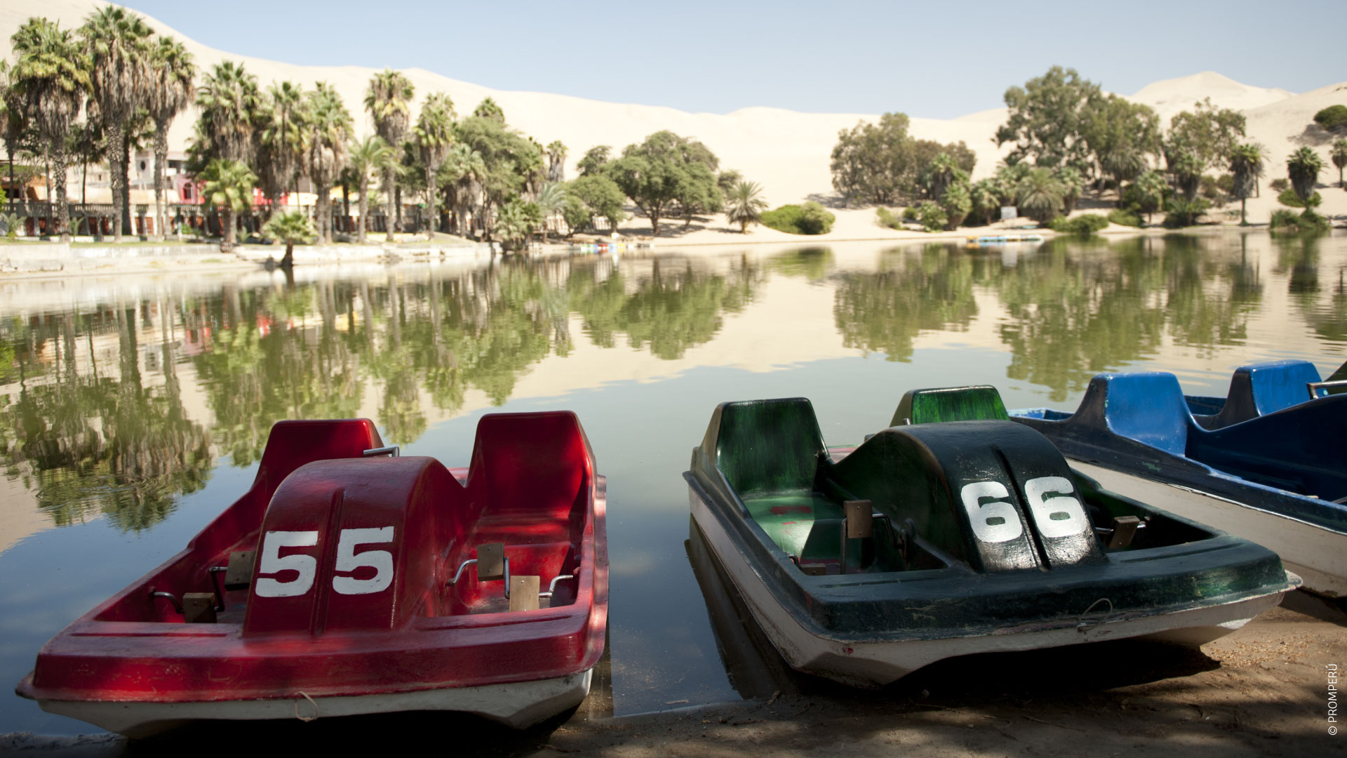 Boat ride on the Huacachina Lagoon/ ©PROMPERU