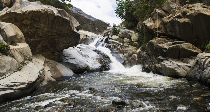 Laquipampa, el primer refugio de vida silvestre en Perú