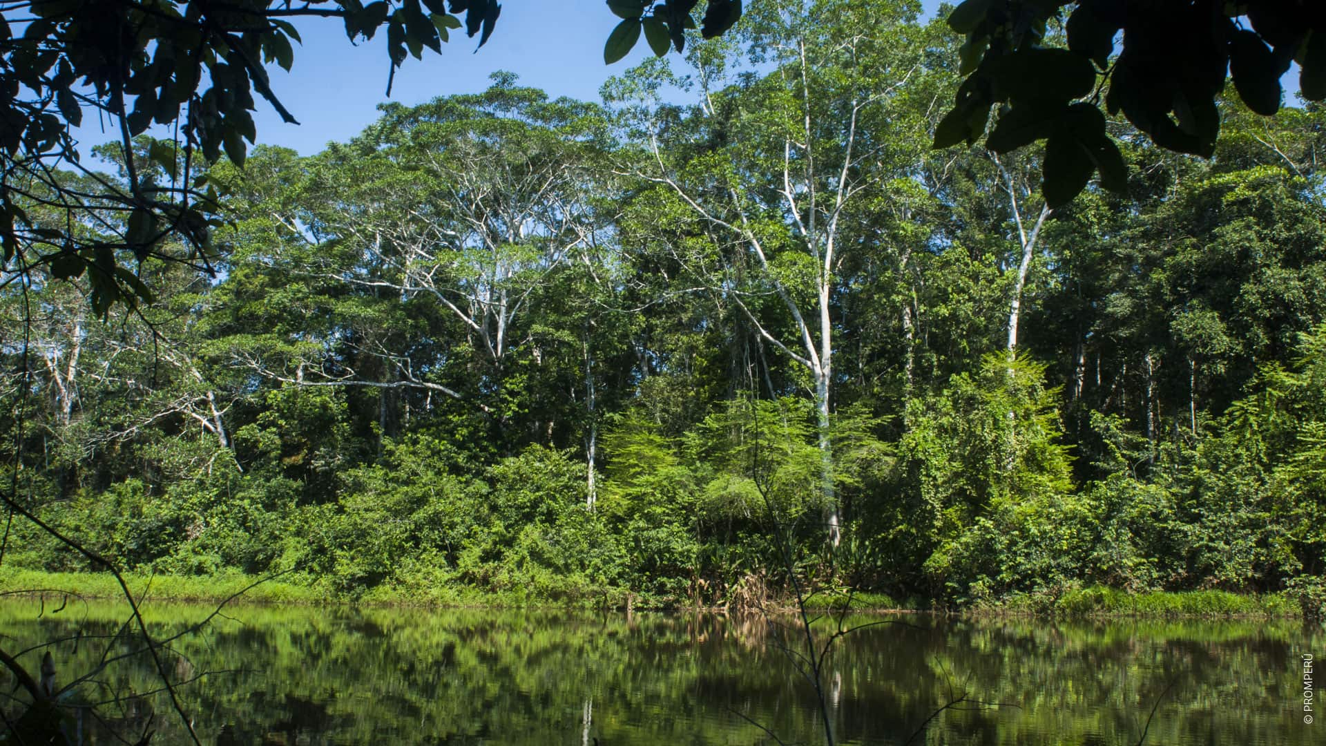 Riserva Nazionale Tambopata / ©PROMPERÚ