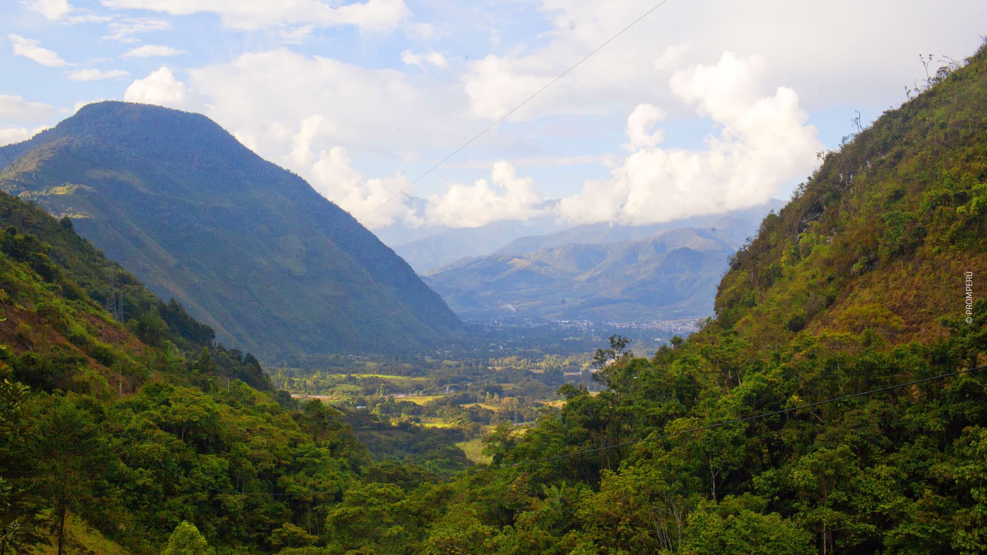 Parc national Yanachaga / © PROMPERÚ