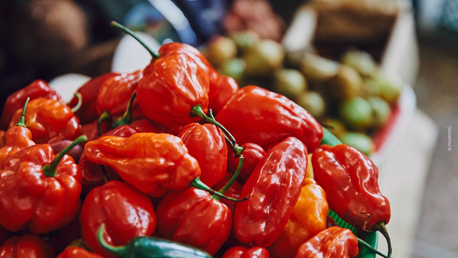 Chilis auf dem Markt von Surquillo, Lima. © PROMPERÚ