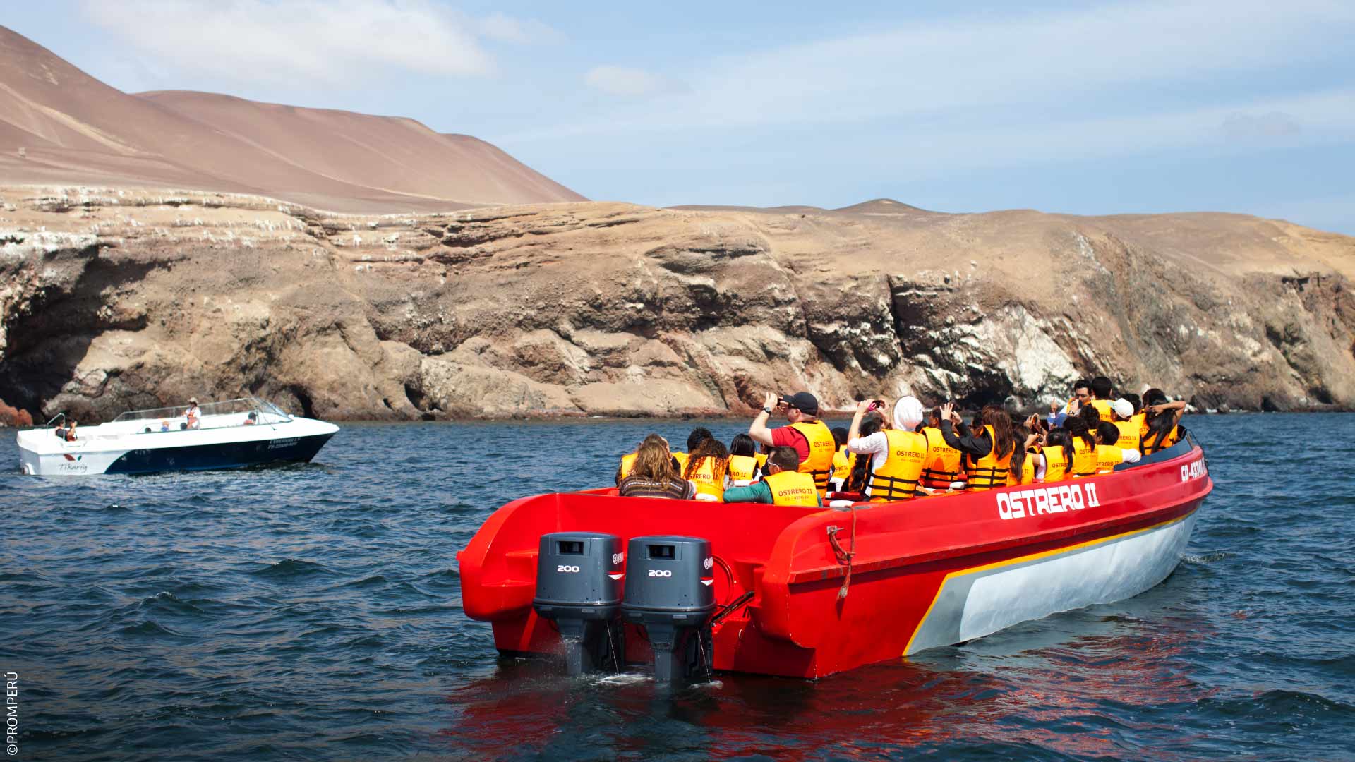Boat tour in the Paracas National Reserve, Ica. / ©PROMPERU