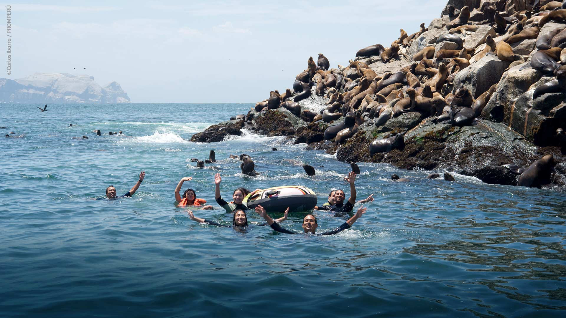 Turistas nadando con los lobos marinos de las Islas Palomino.