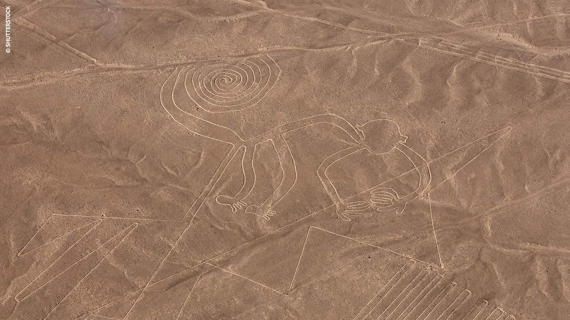 ナスカの地上絵(サル) - ©SHUTTERSTOCK