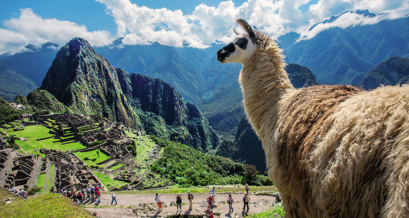 Machu Picchu