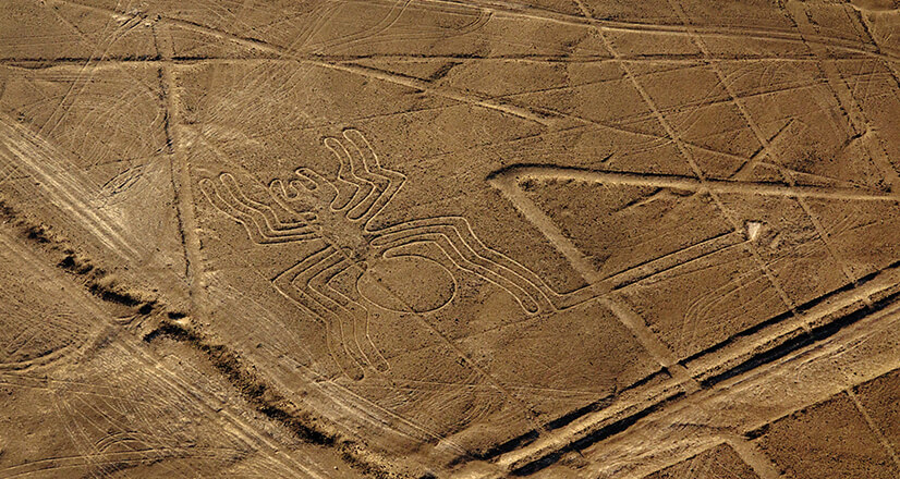 Unter den fast 800 Figuren, die bis heute entdeckt wurden, sticht besonders die Spinne hervor. Kredit: Walter Wust