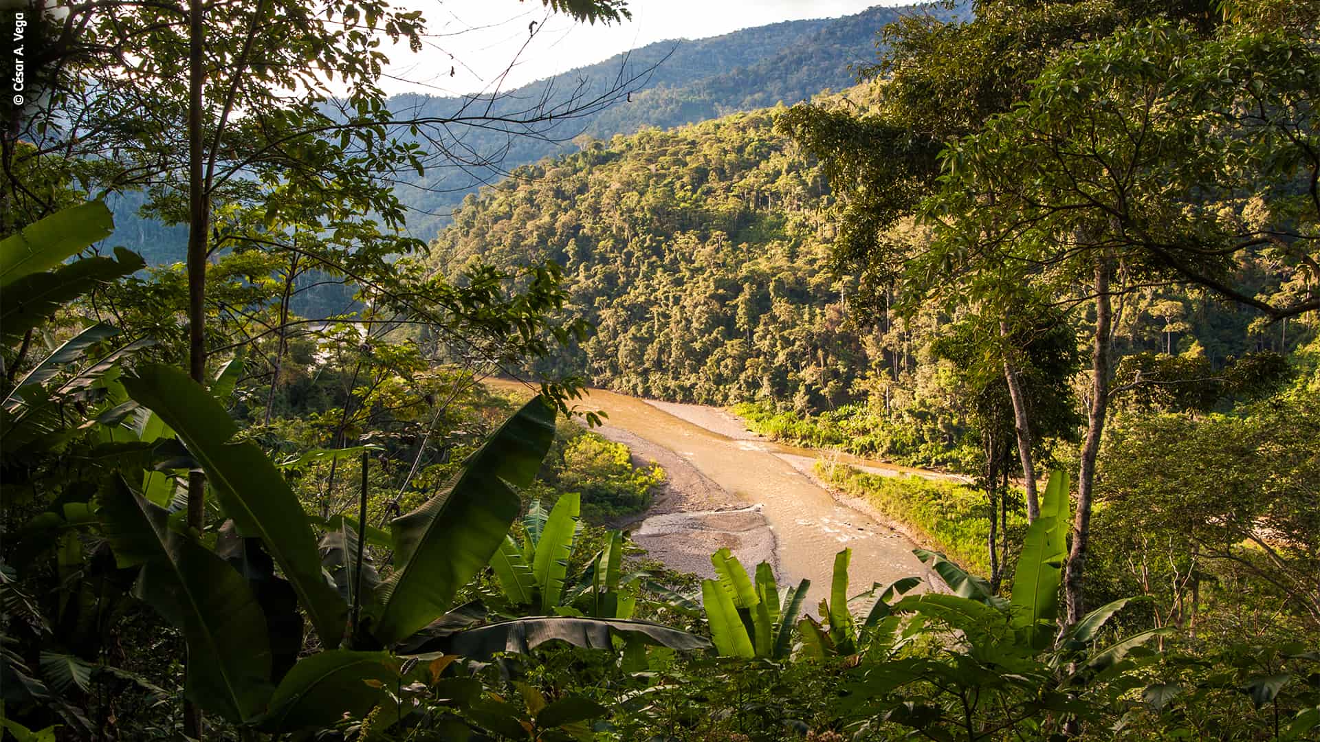 Landscape of Bahuaja Sonene National Park. / © César A. Vega