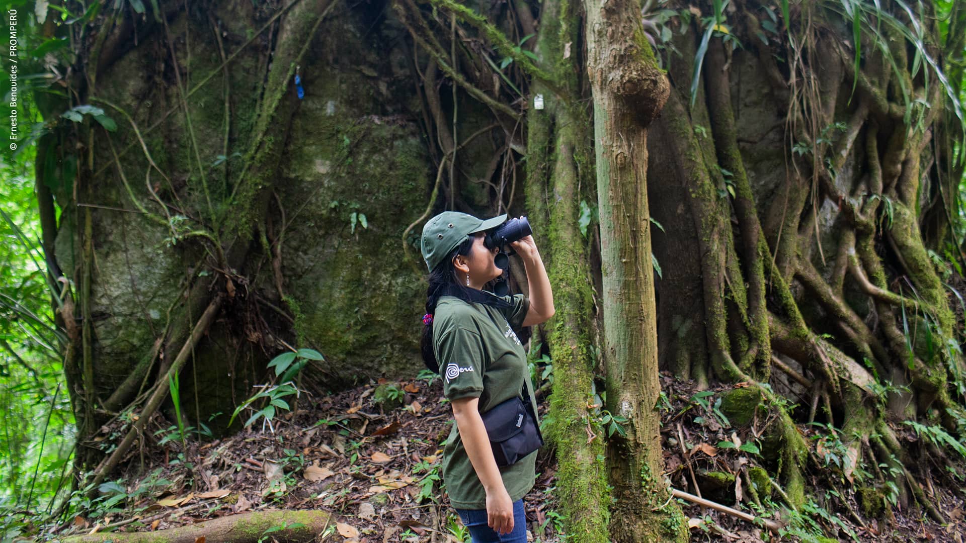 Observadora de aves en el Parque Nacional Yanachaga - Chemillén - © PROMPERÚ