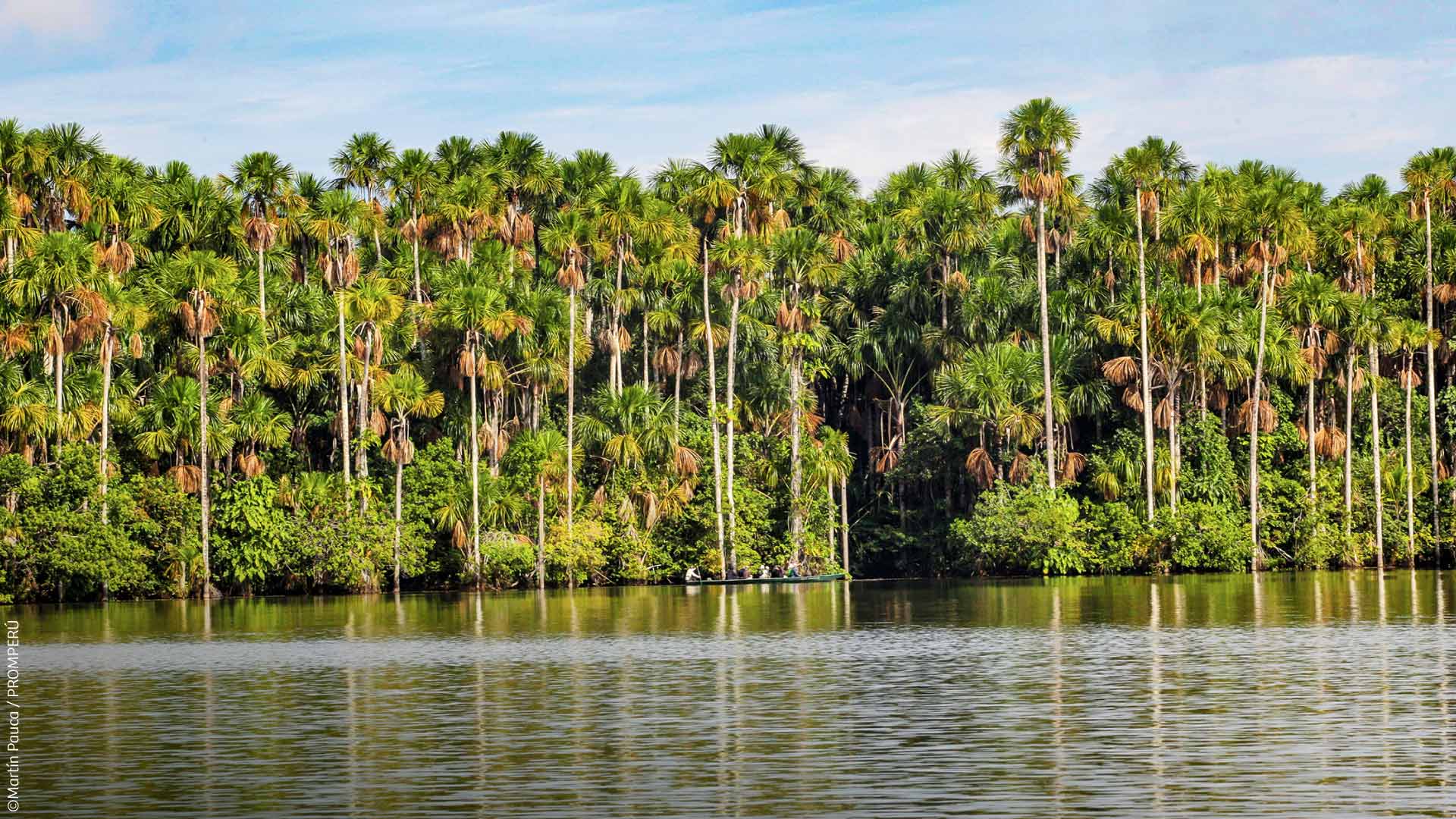 Réserve nationale de Tambopata. / ©PROMPERÚ