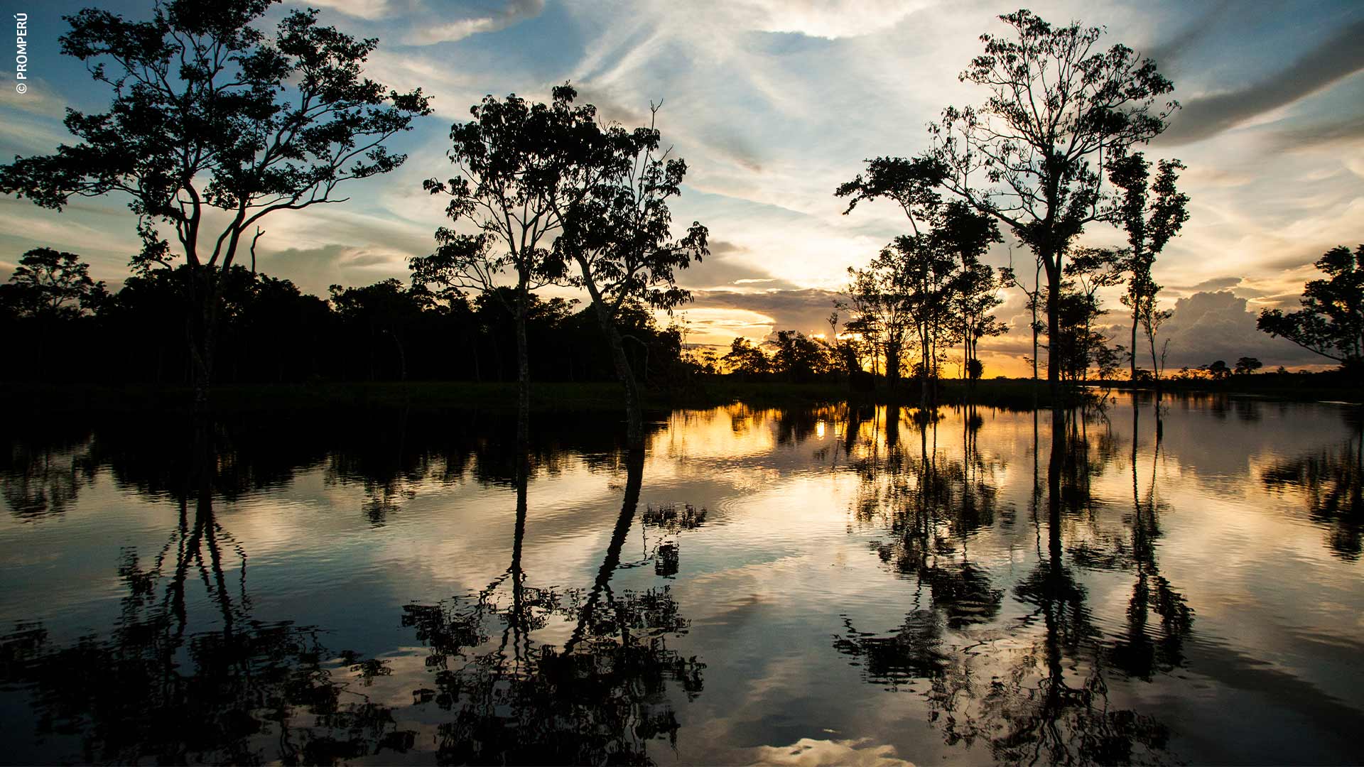 The "Jungle of Mirrors" – ©PROMPERÚ