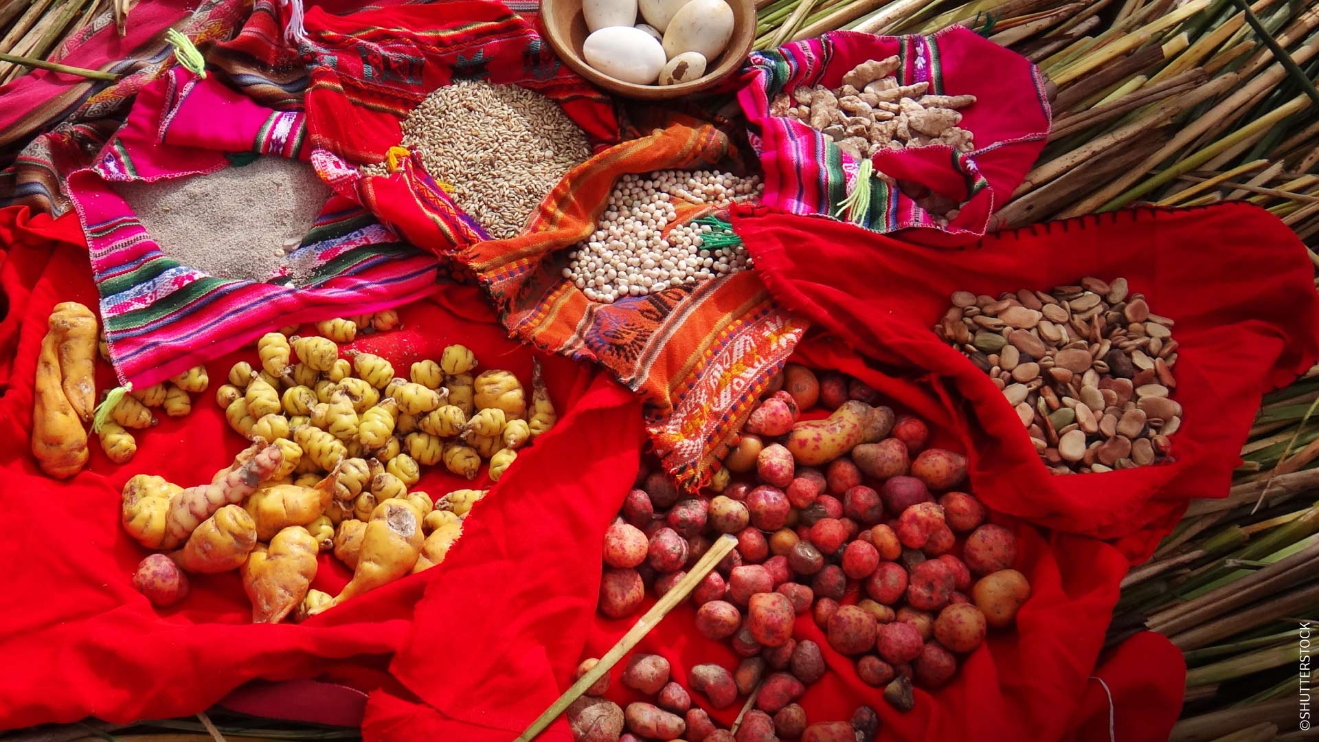 Große Vielfalt peruanischer Agrarprodukte. / ©SHUTTERSTOCK