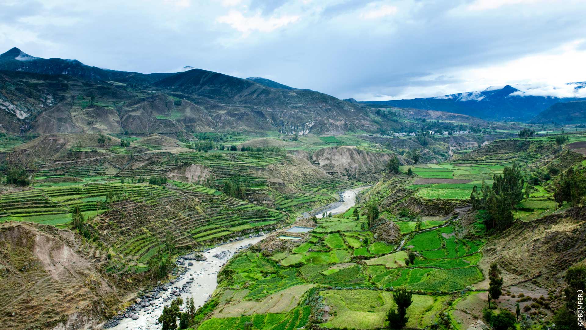 View of the Colca Canyon, Arequipa. / ©PROMPERÚ