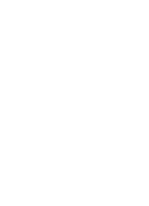logo libertadores