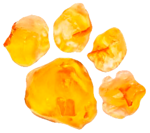 Logo Paddington