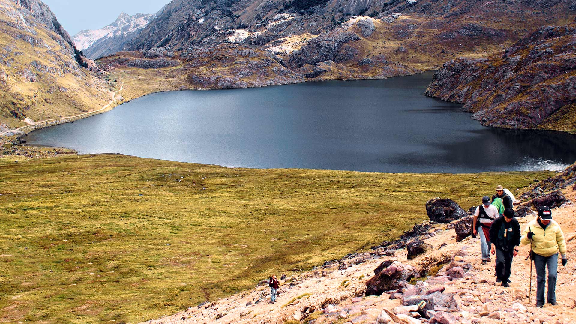 Lares