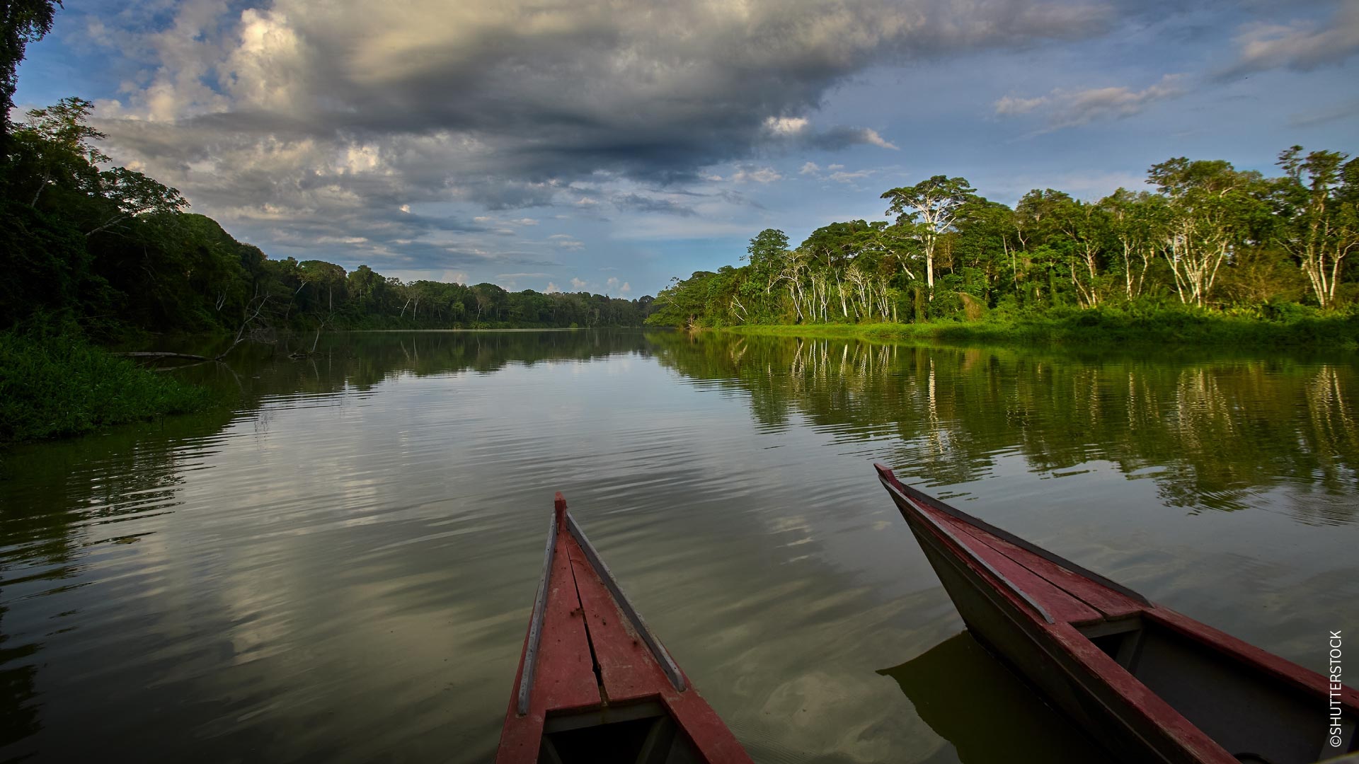 Beautiful lake in the Tambopata National Reserve