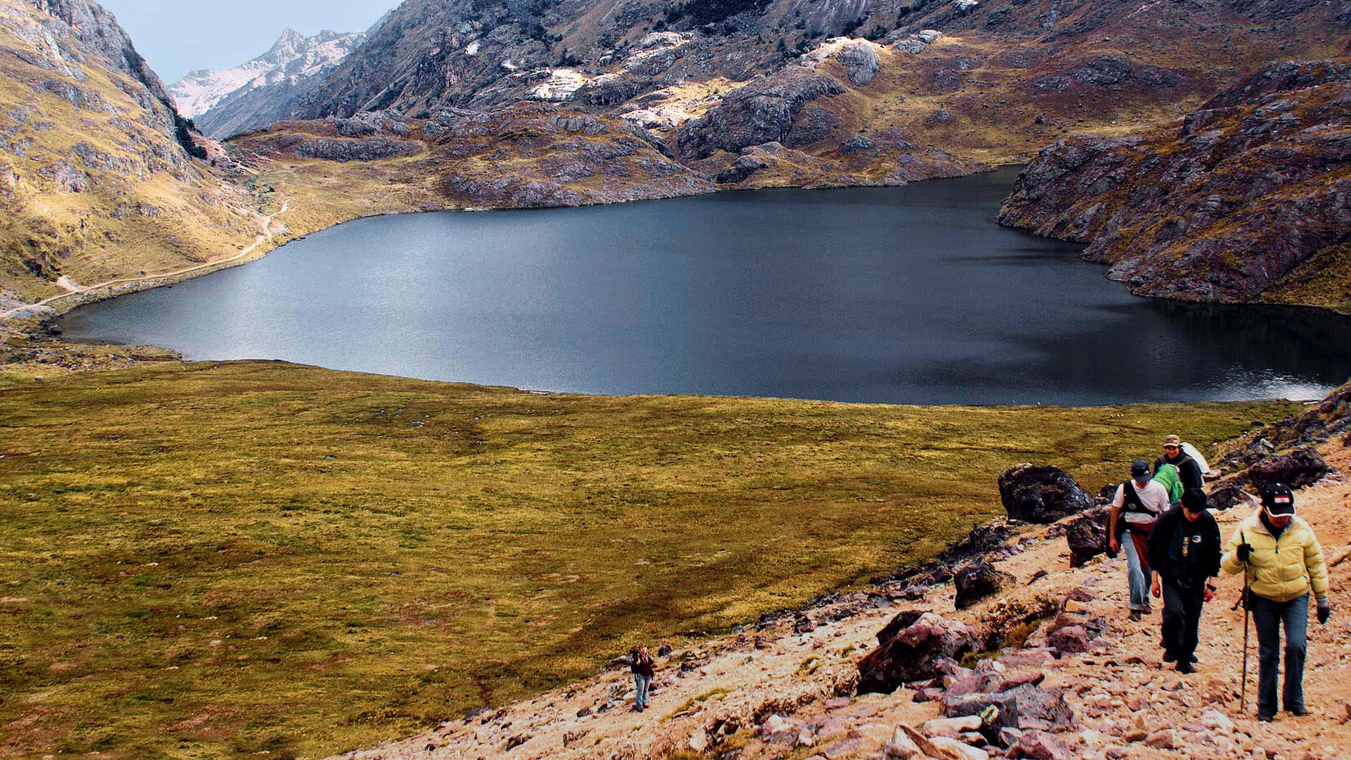 Lares