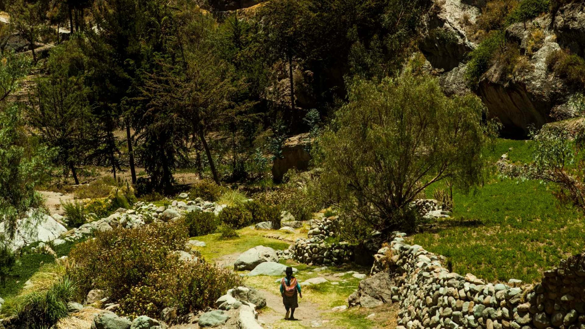 Campiña de Tarata - Provincia de Tarata