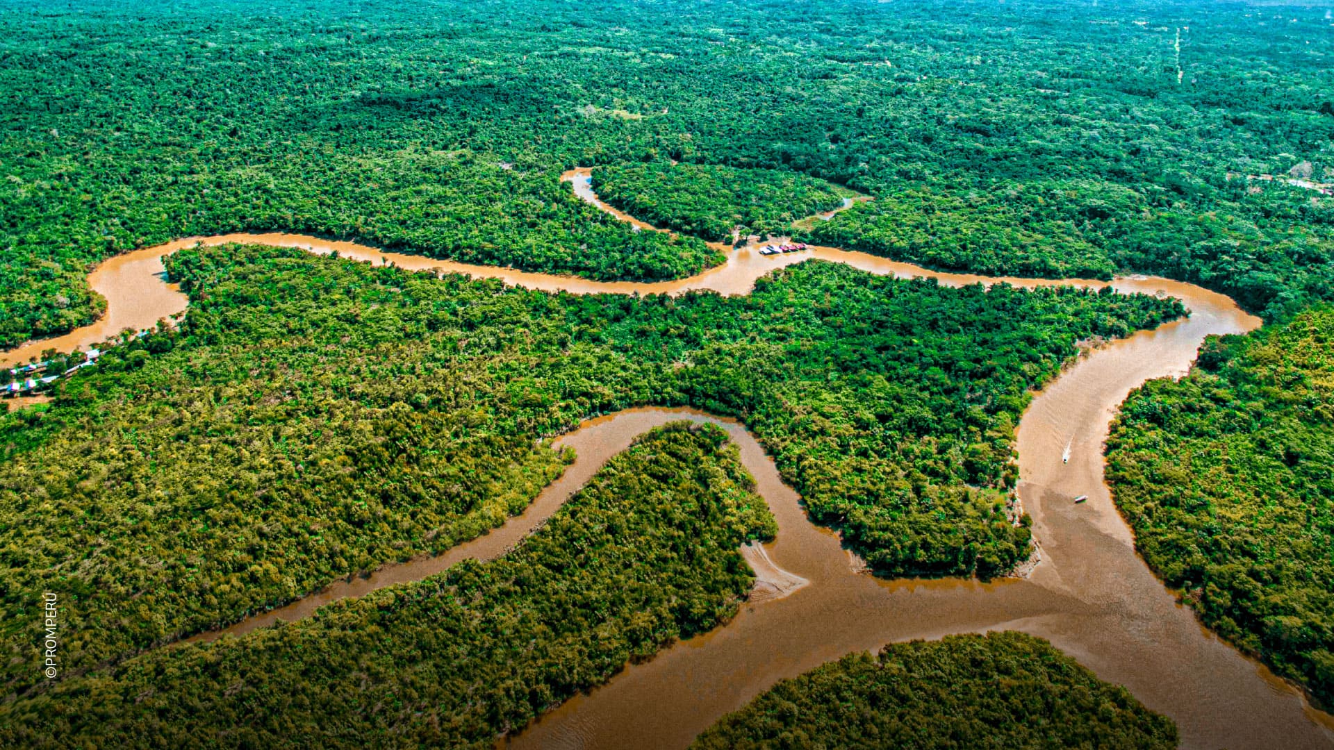 Fiume Amazzonia, vista aerea