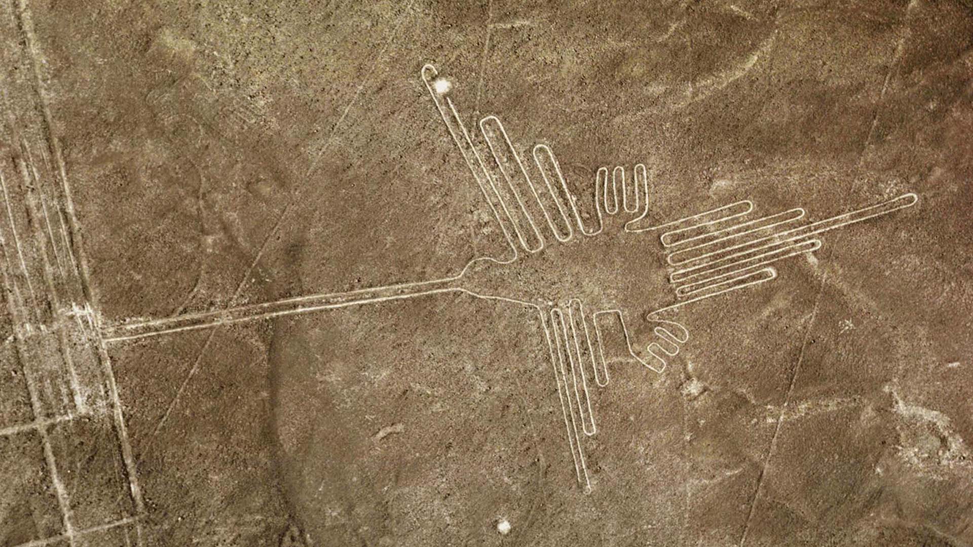 El Colibrí