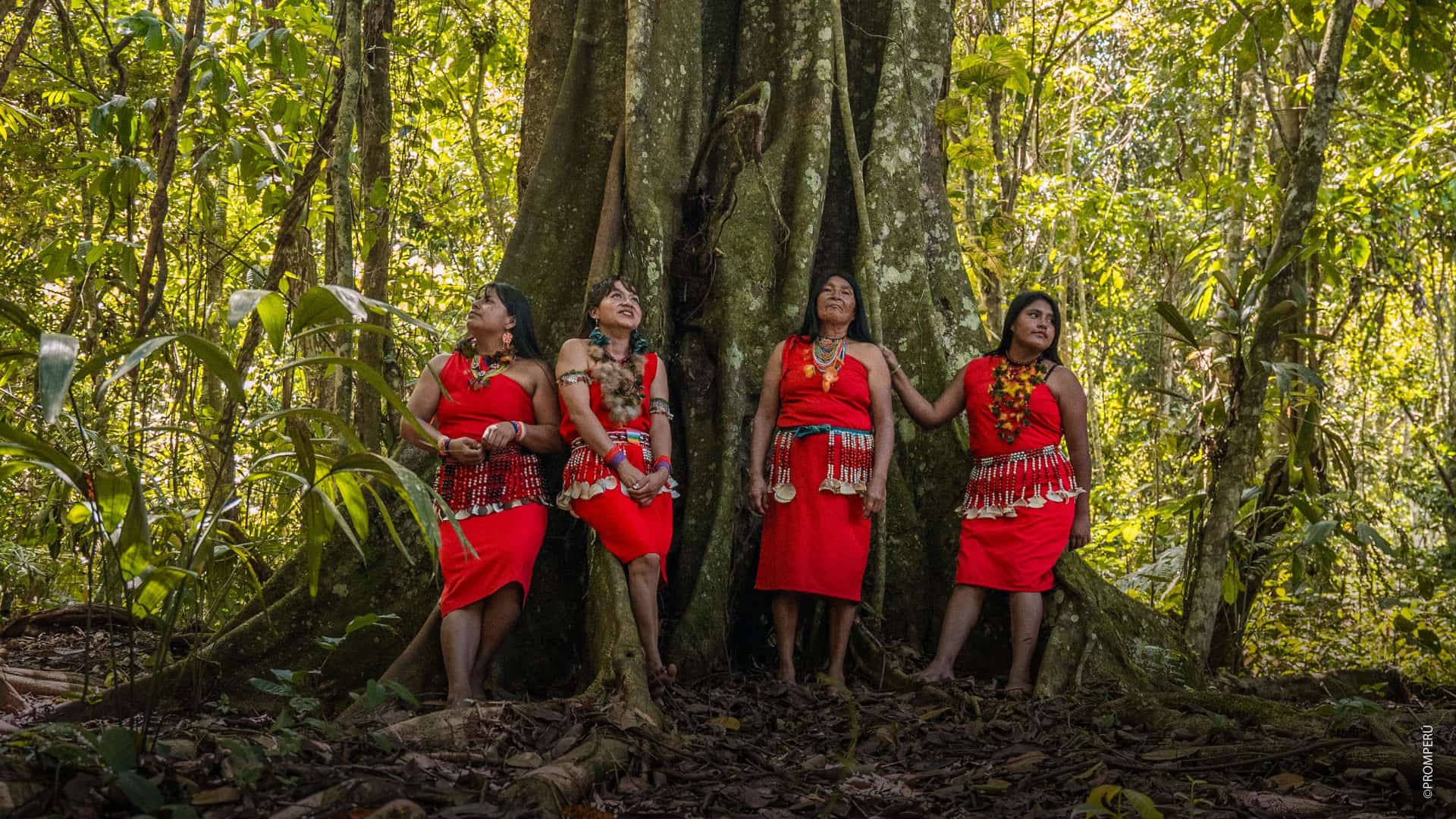 Bosque de las Nuwas