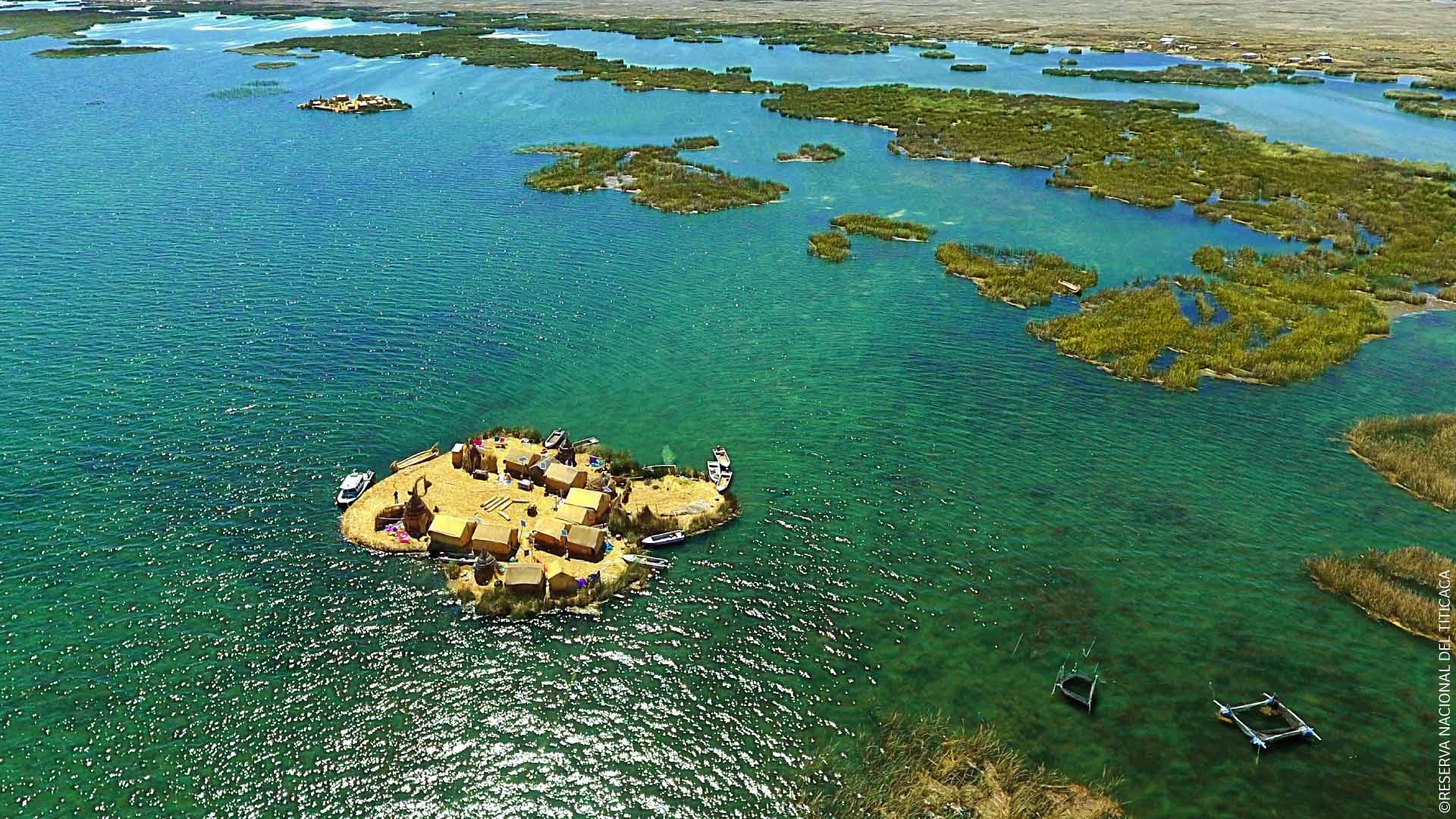 Reserva Nacional del Titicaca