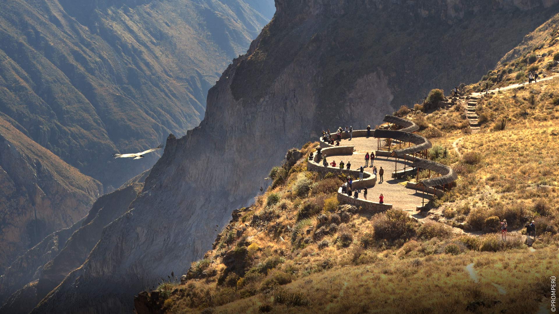 Vista aerea del Canyon del Colca e volo del condor, Arequipa