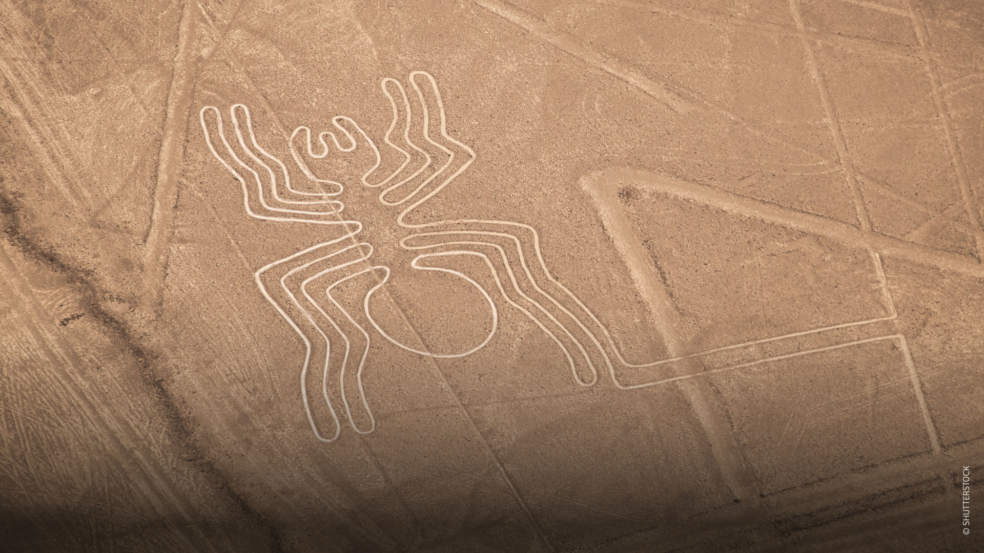 Linhas de Nasca, Nazca / ©SHUTTERSTOCK