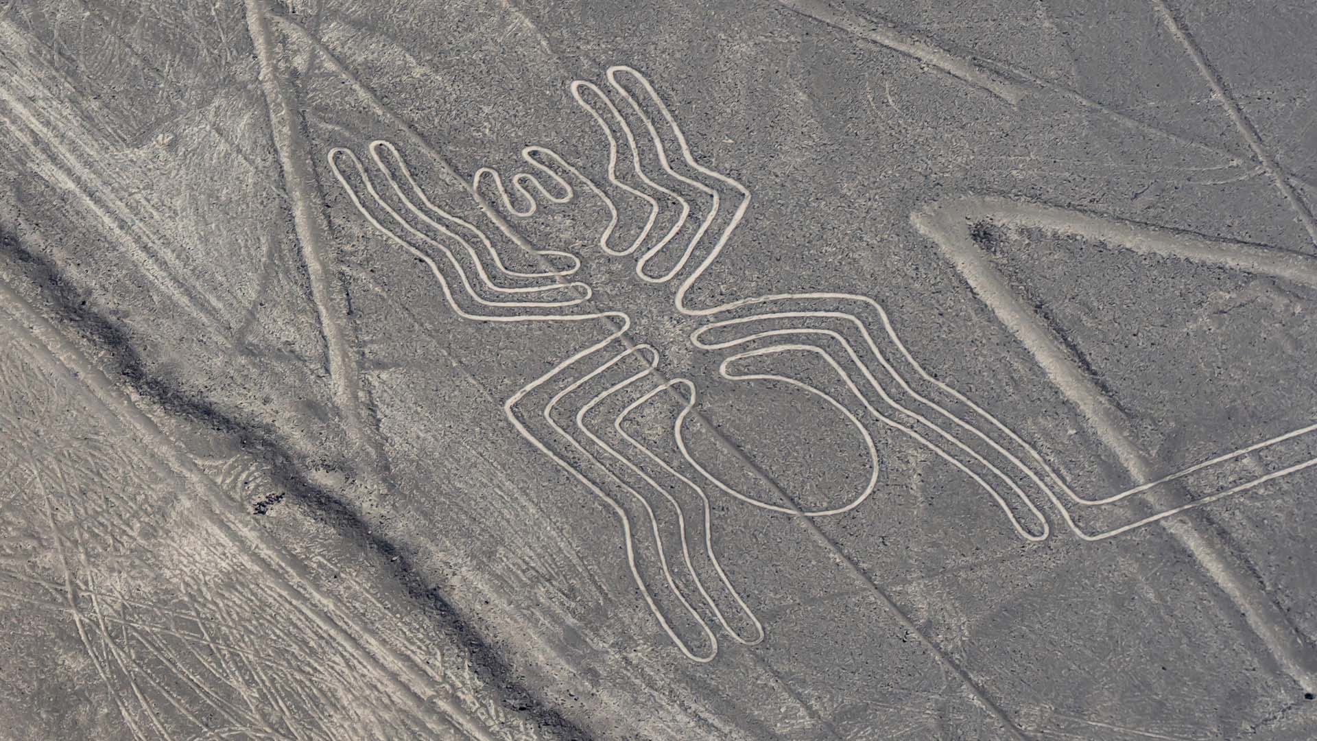 Spider geoglyph of the Nasca Lines