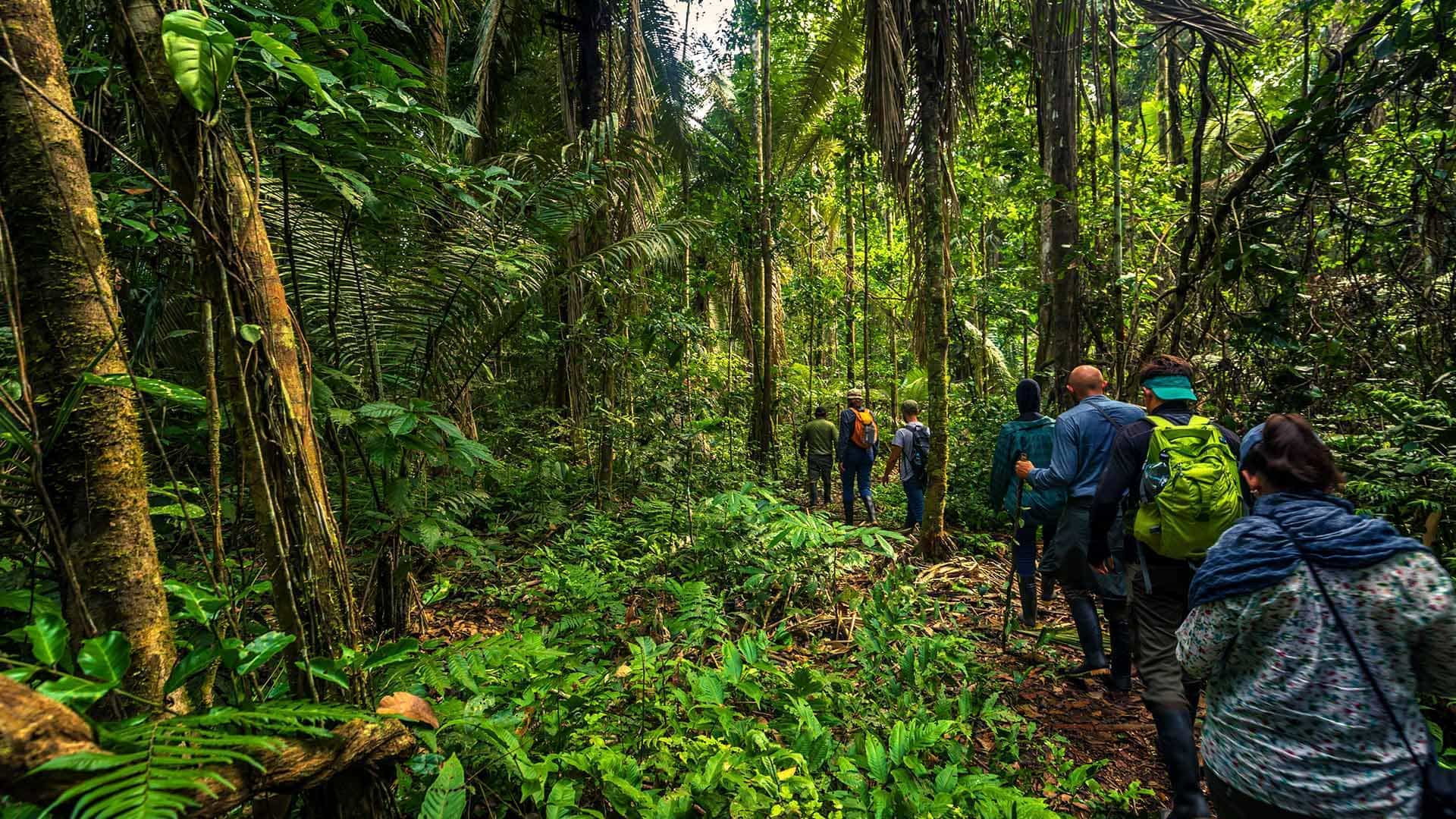 Parque Nacional del Manu