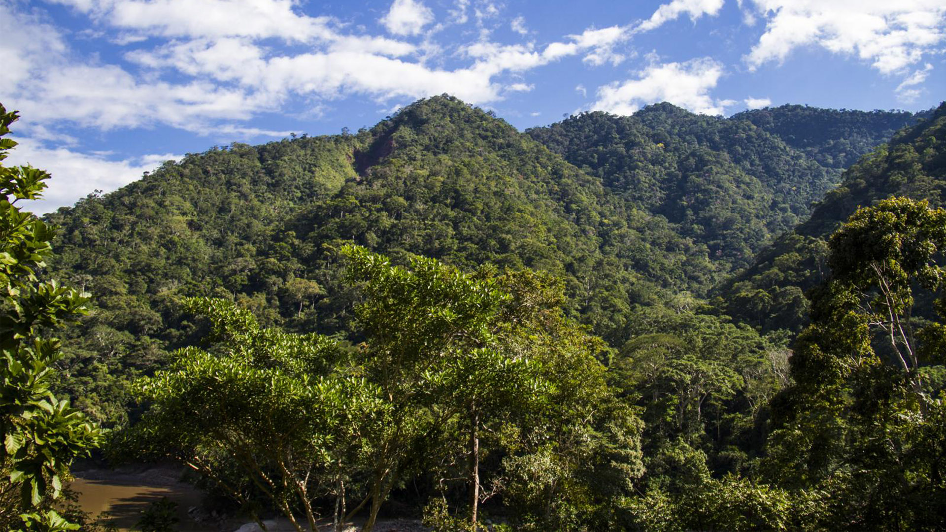 Parque Nacional Cordillera Azul, Ucayali