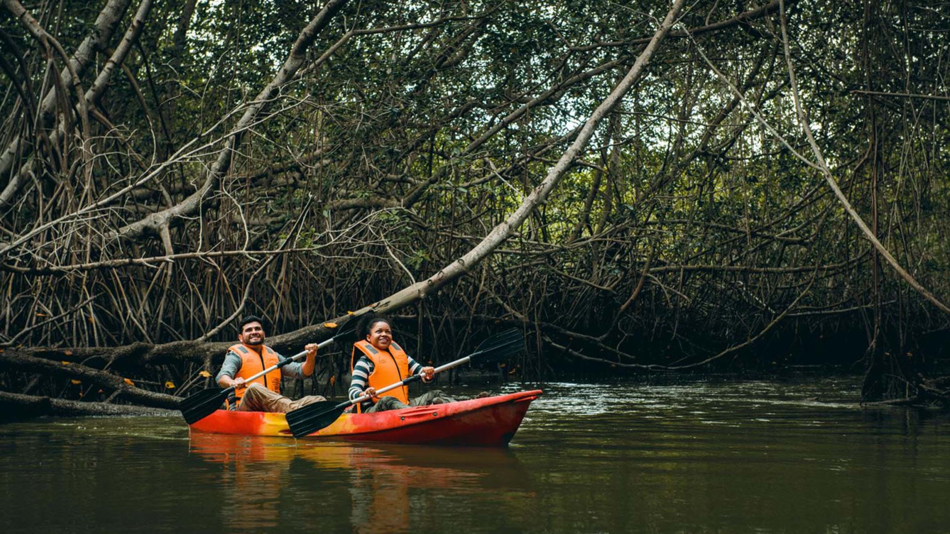 Manglares de Tumbes