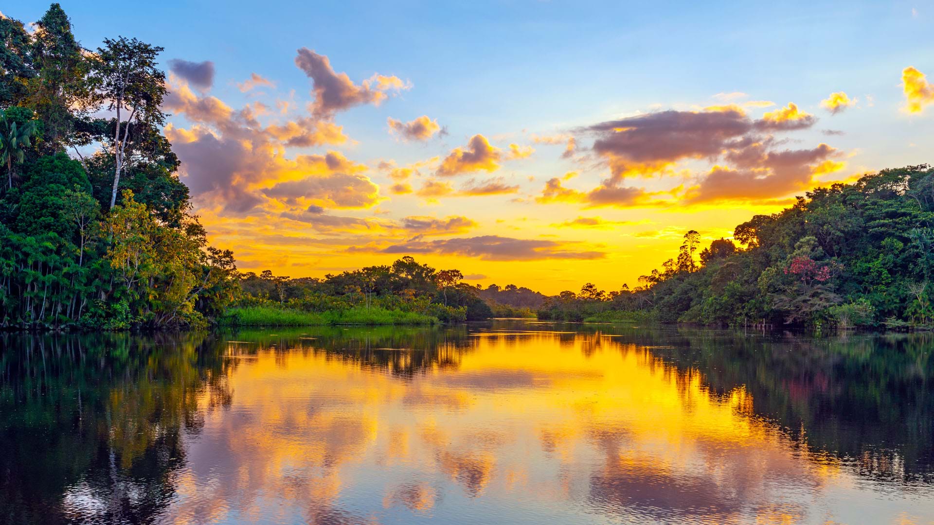Parque Nacional del Manu