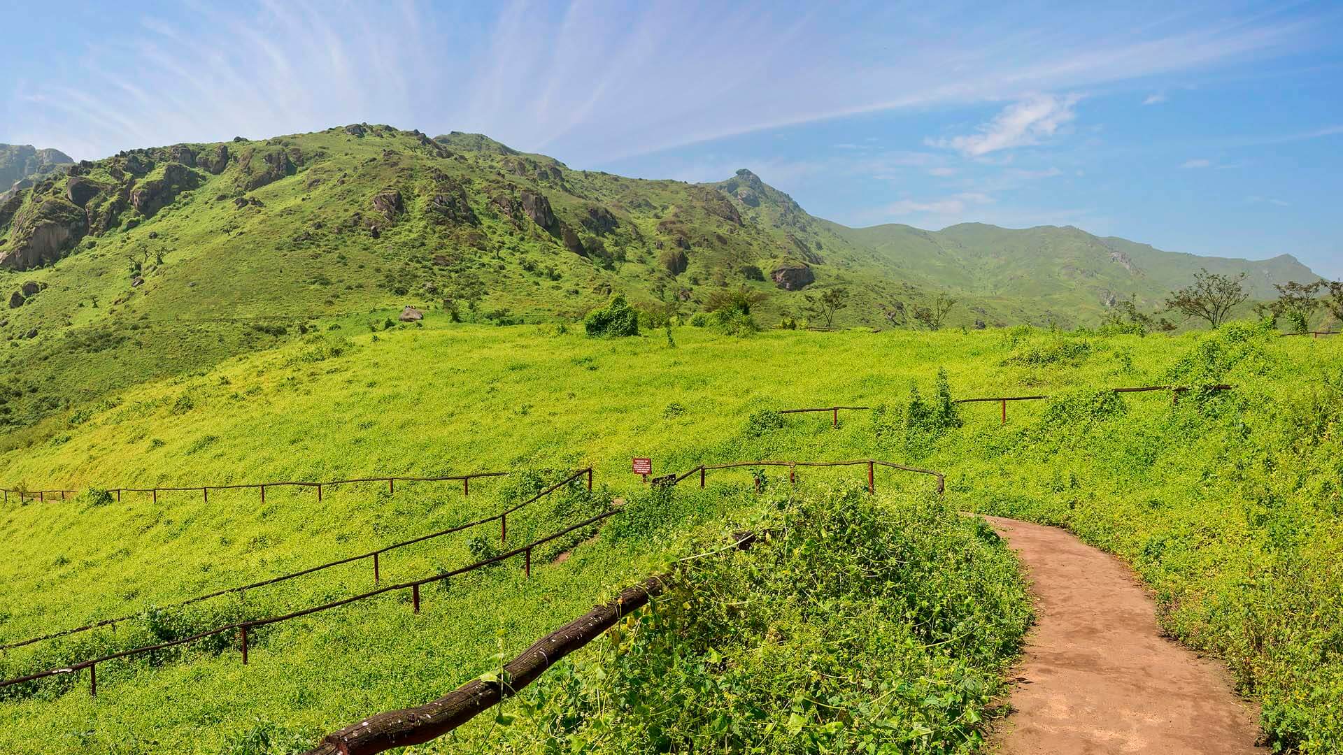 Lomas de Lachay