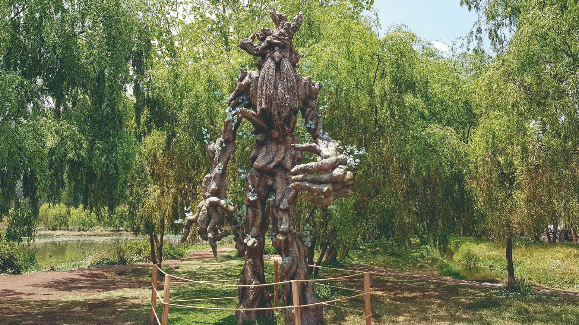 Ent en el humedal de Huasao