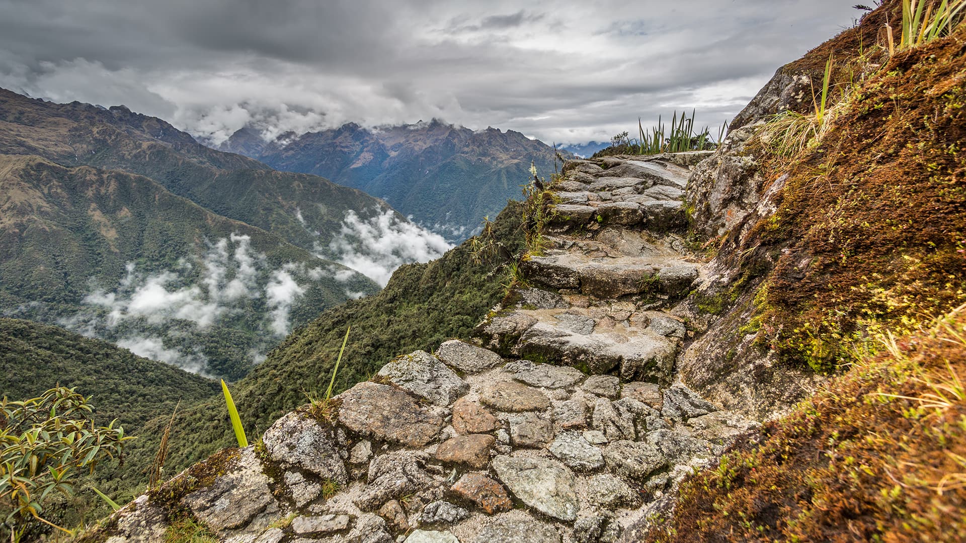 Caminos del Inca