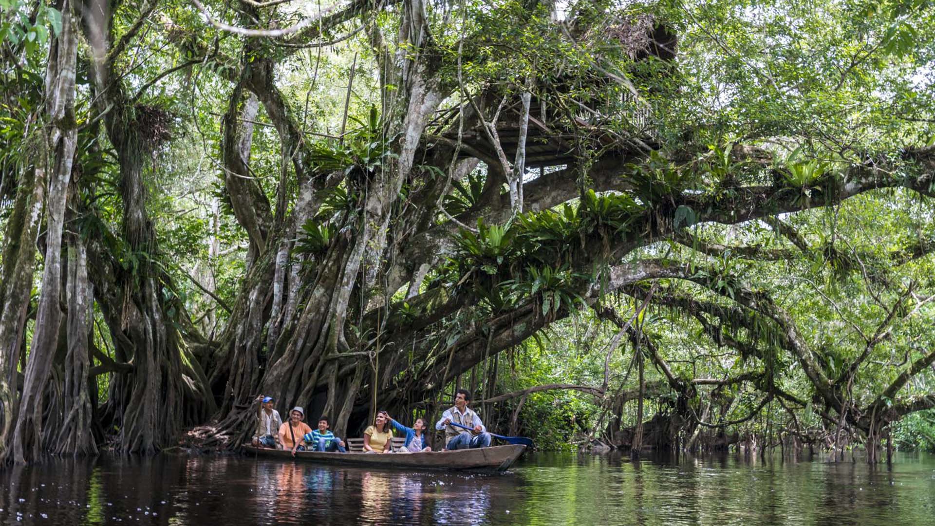 Paseo en bote en el Bosque de Protección de Alto Mayo