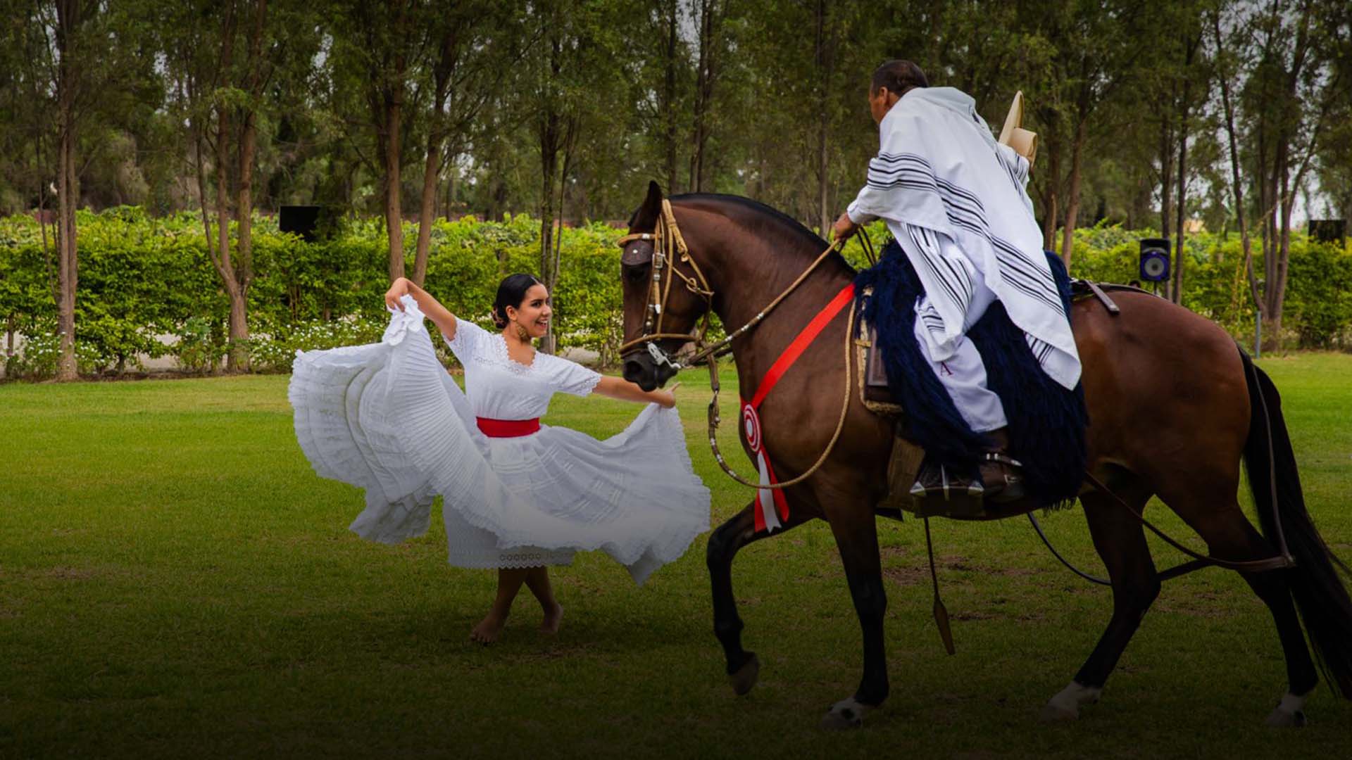 Caballo de paso